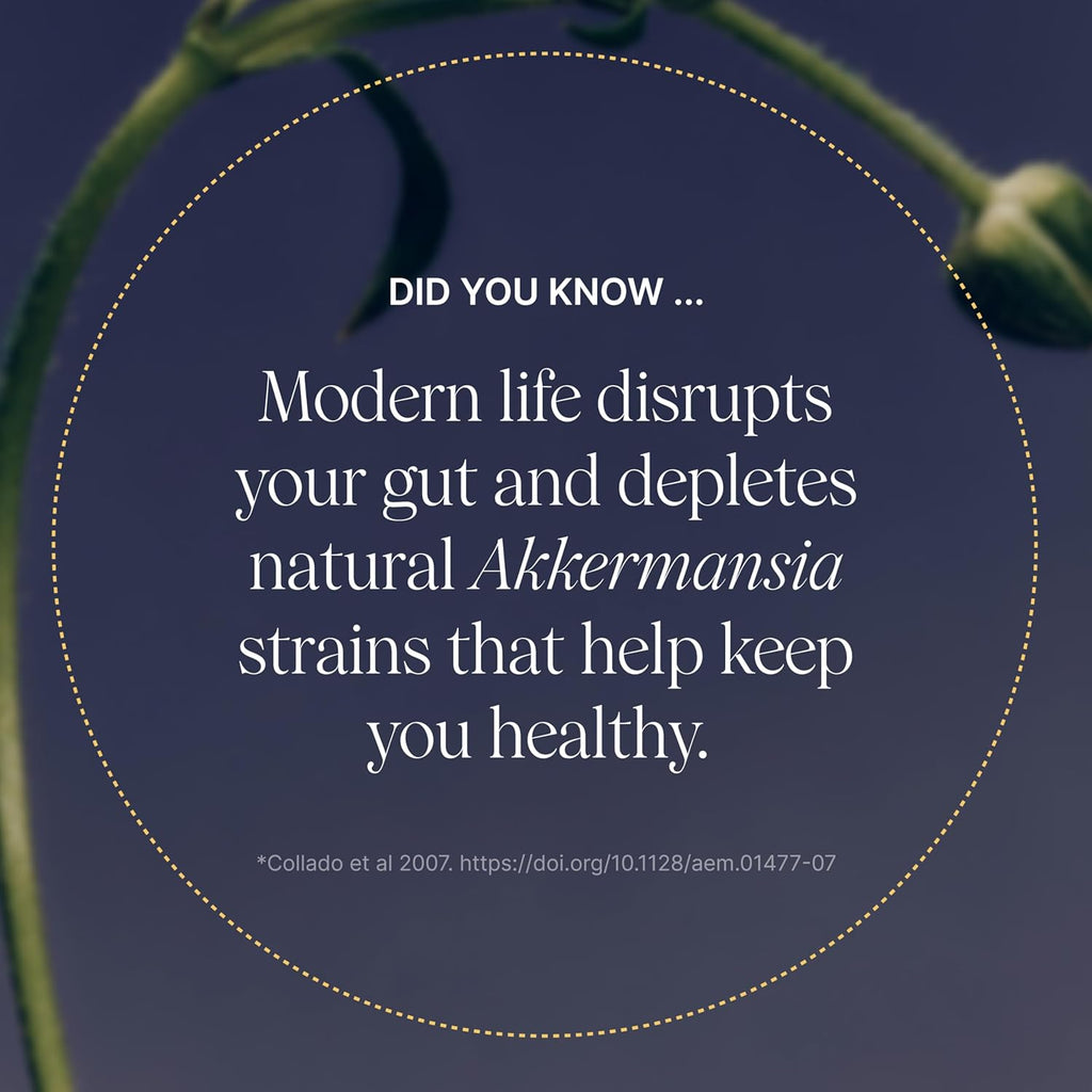 Pendulum Akkermansia 30 Count